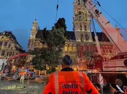 Брисел Елка